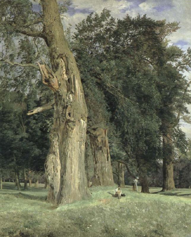 Ferdinand Georg Waldmuller old elms in prater oil painting image